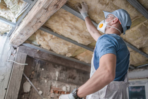 Best Insulation for Specific Applications in Forest, OH