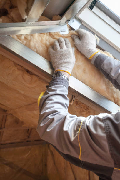 Best Insulation Installation Services in Forest, OH