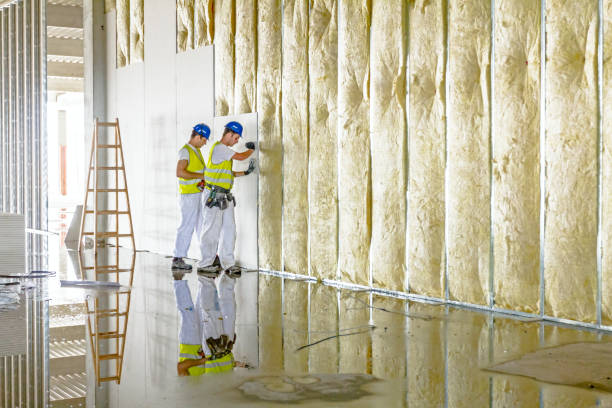 Best Insulation Maintenance and Repair in Forest, OH